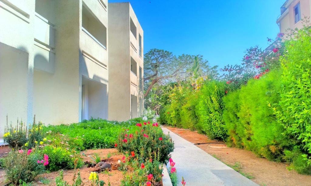 Daphne Hotel Apartments Paphos Exterior foto